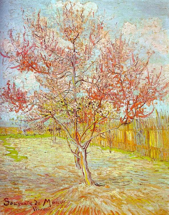 Vincent Van Gogh Peach Tree in Bloom oil painting picture